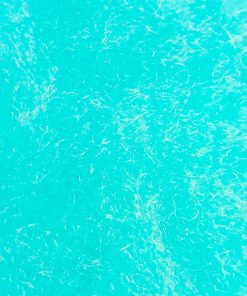 tinta pet azul piscina
